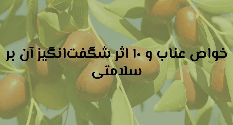 خواص عناب و ۱۰ اثر شگفت‌انگیز آن بر سلامتی