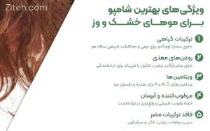 ویژگی های شامپو مناسب موهای خشک و وز